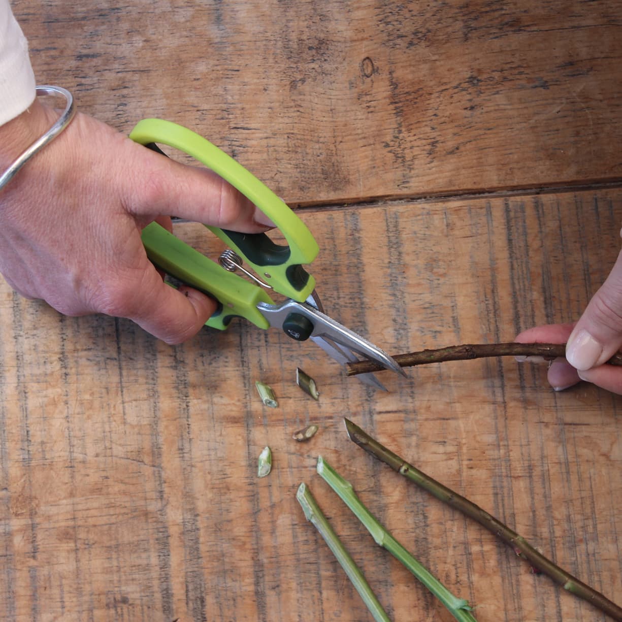 Snip the stems by 1cm at an angle every few days.
