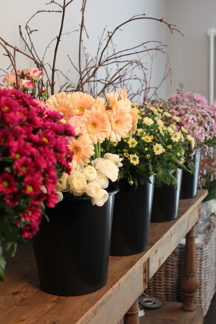 Flower school welcomes you.